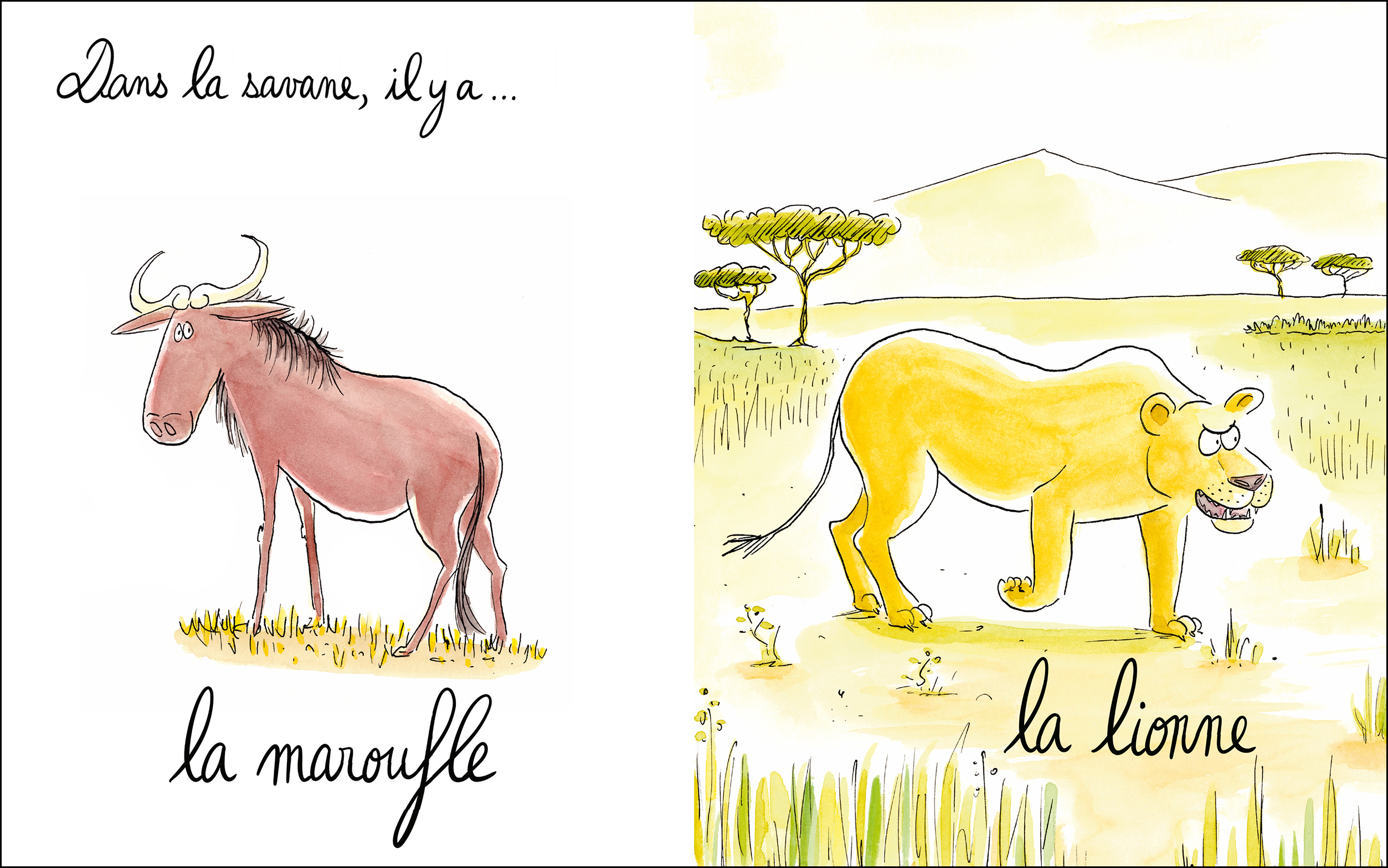 femelles