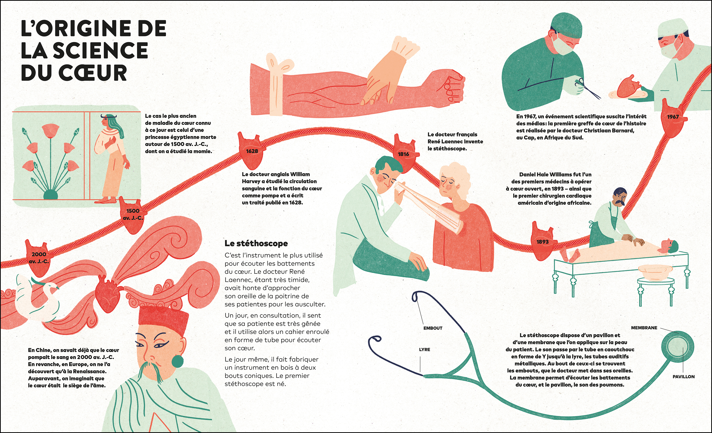 illus le coeur